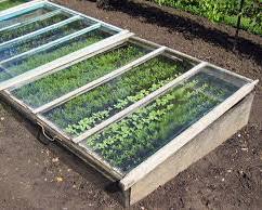 Image de chassis de jardin