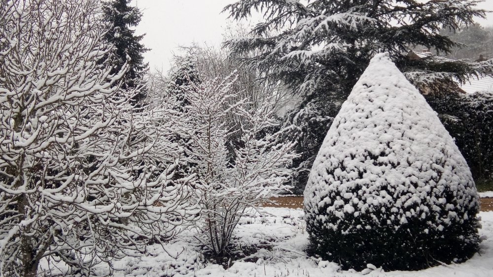 Photo illustrant un jardin d'hiver